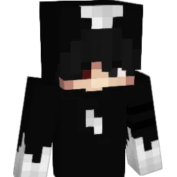 shry91's Minecraft skin
