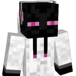 shub2168 Minecraft avatar bust