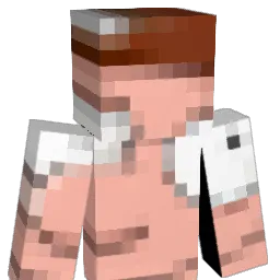 shuii420 Minecraft avatar bust