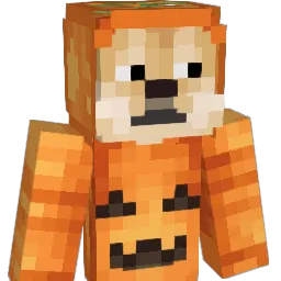 shykiim Minecraft avatar bust