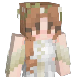 sidliz Minecraft avatar bust