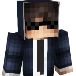 sienikeitto11 Minecraft avatar bust