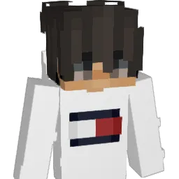 siggy030 Minecraft avatar bust