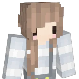 signaI Minecraft avatar bust