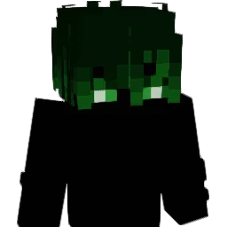 signvll Minecraft avatar bust