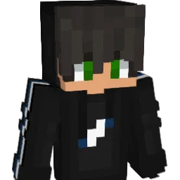 silekZplays