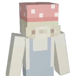 sillycatcat Minecraft avatar bust