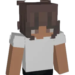 silversky19 Minecraft avatar bust
