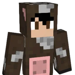silygoku1 Minecraft avatar bust
