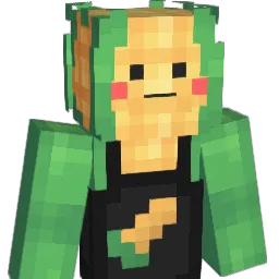 simducke's Minecraft skin
