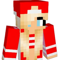simet34 Minecraft avatar bust