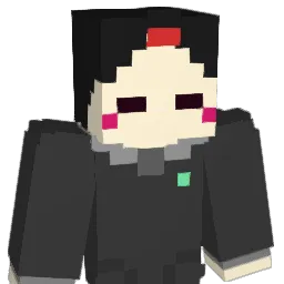 sin09270927 Minecraft avatar bust