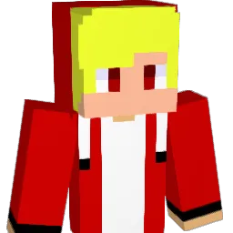 sinku2011 Minecraft avatar bust