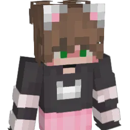 sir_grayknight