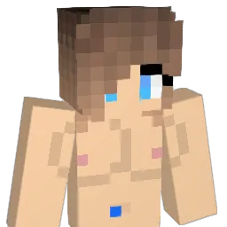 sirtnih Minecraft avatar bust