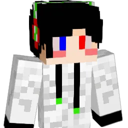 sjpark3446 Minecraft avatar bust
