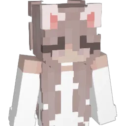 sk8s Minecraft avatar bust