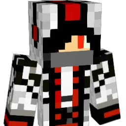 sk8terboy2005 Minecraft avatar bust