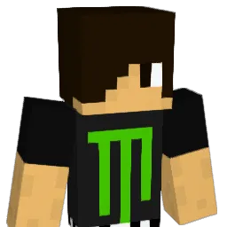 skater57 Minecraft avatar bust