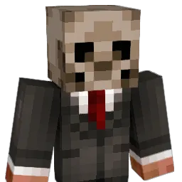 skatevolcom11 Minecraft avatar bust