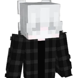 skbsnic Minecraft avatar bust