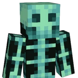 skeletonlord64 Minecraft avatar bust