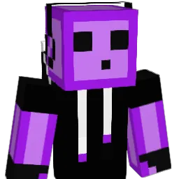 skeletron9 Minecraft avatar bust