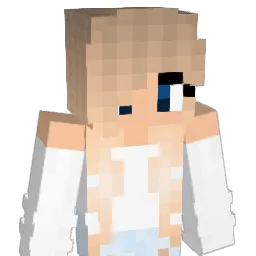 skerri04 Minecraft avatar bust