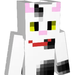 skf9106 Minecraft avatar bust