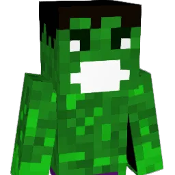 skiesszn Minecraft avatar bust