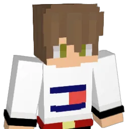 skilzypadden Minecraft avatar bust