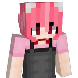 skins222's Minecraft skin