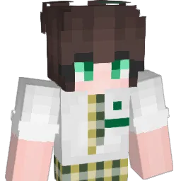 skintowear