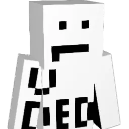 skm2115 Minecraft avatar bust