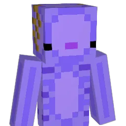 skont1004 Minecraft avatar bust