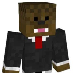 skott80 Minecraft avatar bust