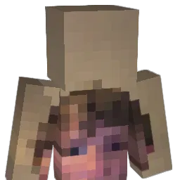 skrubbion