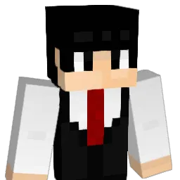 skt8438 Minecraft avatar bust