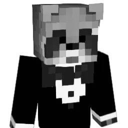 skullzyboat Minecraft avatar bust
