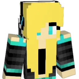 sky2110 Minecraft avatar bust