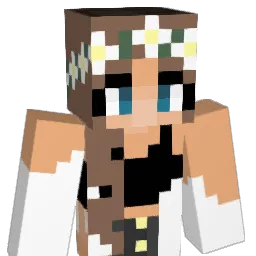 sky4488 Minecraft avatar bust