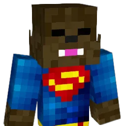 sky75458 Minecraft avatar bust
