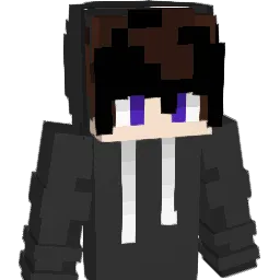 sky_0212 Minecraft avatar bust