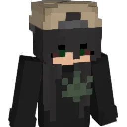 skyblockgrin420 Minecraft avatar bust
