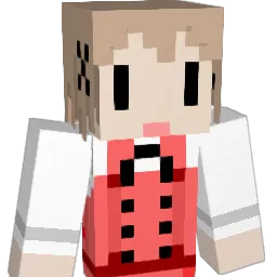 skycolors Minecraft avatar bust