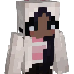 skyfire12329 Minecraft avatar bust