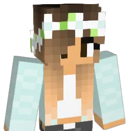 skyfish29 Minecraft avatar bust