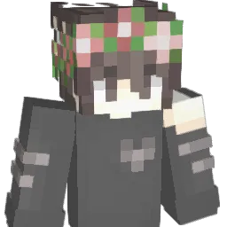 skyhiromoshy