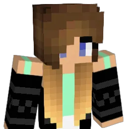 skyler533x Minecraft avatar bust