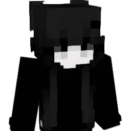 skylerr27 Minecraft avatar bust
